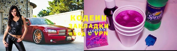 шишки Бородино