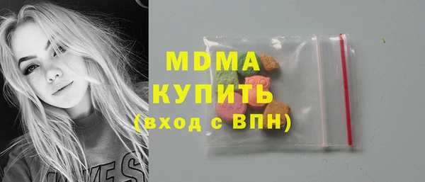 шишки Бородино