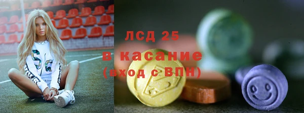 шишки Бородино