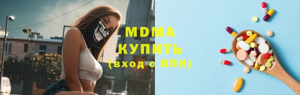 шишки Бородино