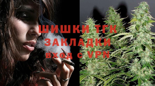шишки Бородино