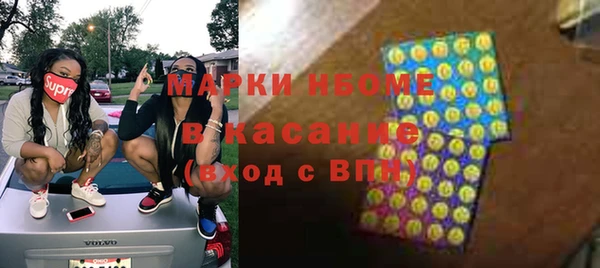 шишки Бородино