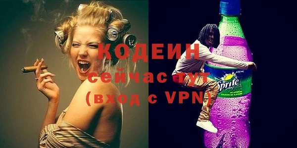 шишки Бородино