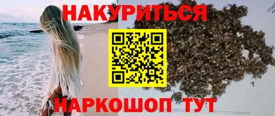 МДПВ Кингисепп
