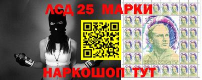 МДПВ Кингисепп