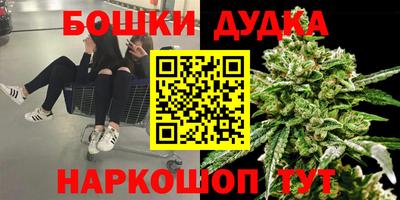 МДПВ Кингисепп