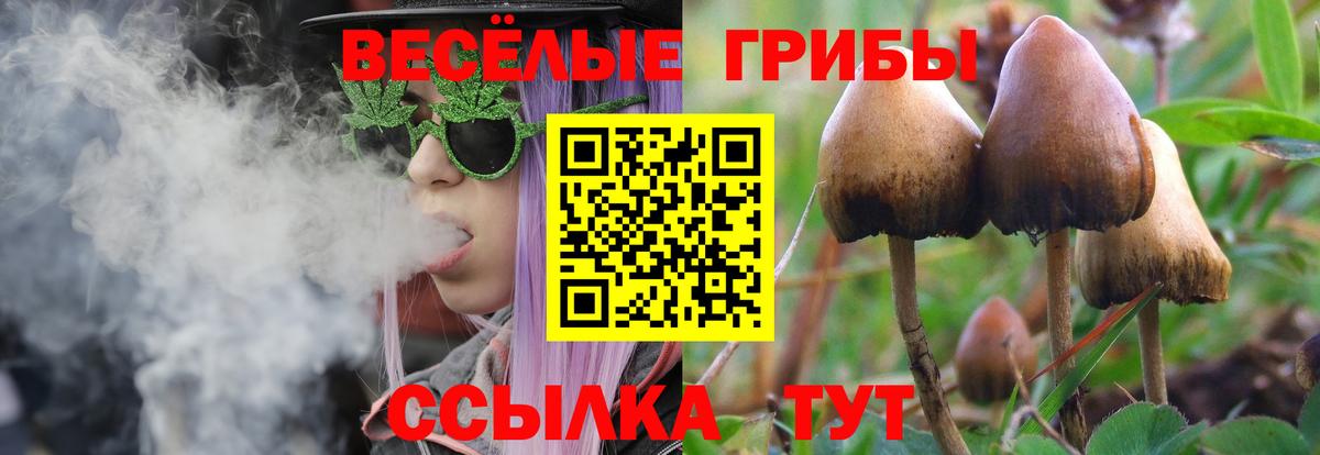 Галлюциногенные грибы Psilocybine cubensis  Вход с VPN  Кушва 
